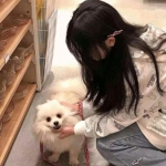 金立少年西游记手机版下载